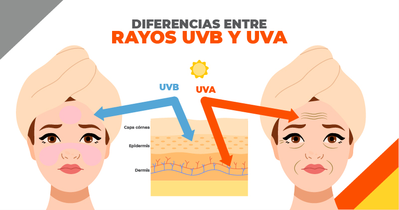 diferencias entre uva y uvb