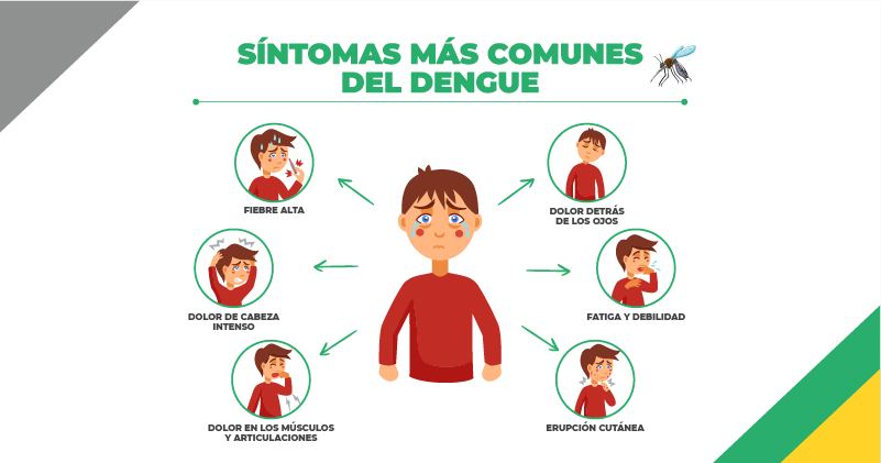 Síntomas comunes del dengue